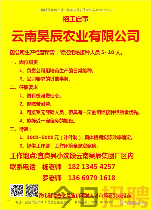 宜良最新招聘，开启职业新篇章的机遇