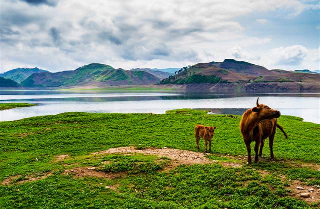 赛福天最新消息，探索自然美景，寻找内心的平静之旅