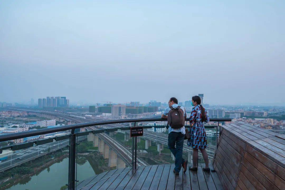 海阳市最新新闻，探索自然美景，追寻内心平静之旅