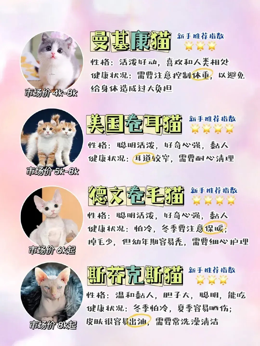 猫咪最新网址大全，尽享猫咪魅力！