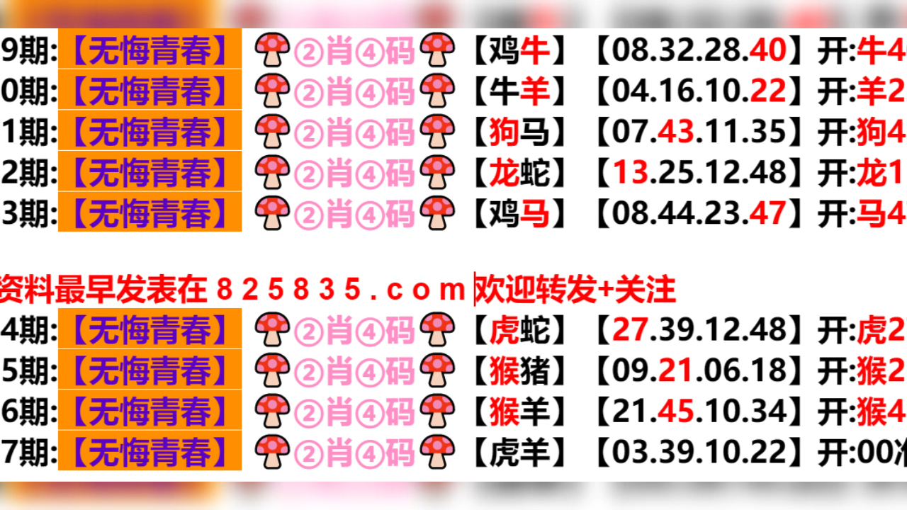 2024年新奥门天天开彩,权威解析方法_XLP47.315改进版