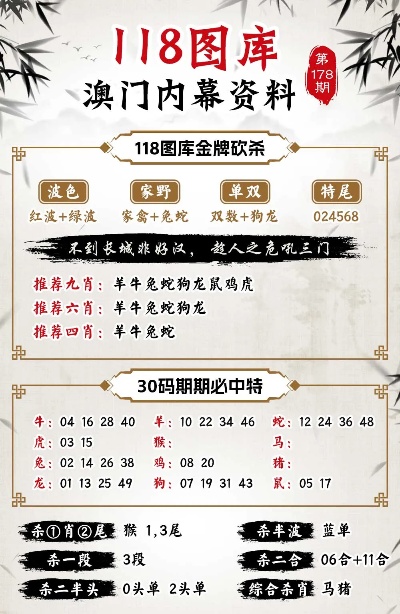 2024澳门管家婆资料正版大全′,专家解说解释定义_LIS47.421变革版