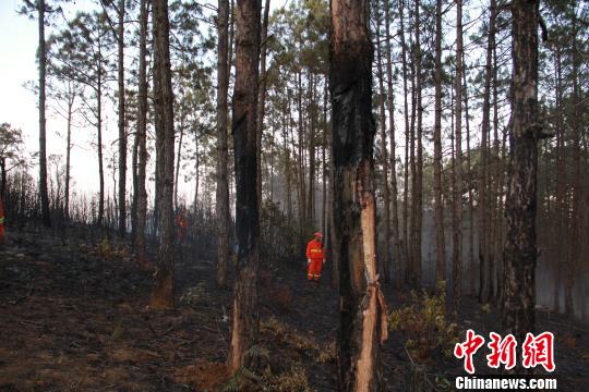 云南火情最新动态及应对步骤指南