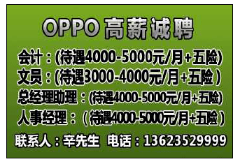 昌乐晨鸿信息招聘回顾与洞察，深度解析招聘信息细节